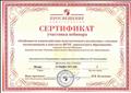 Сертификат участника вебинара "Особенности взаимодействия педагогического коллектива с семьями воспитанников в контексте ФГОС ДО", декабрь 2014г. Сертификат участника вебинара "Особенности взаимодействия педагогического коллектива с семьями воспитанников в контексте ФГОС ДО", декабрь 2014г.
